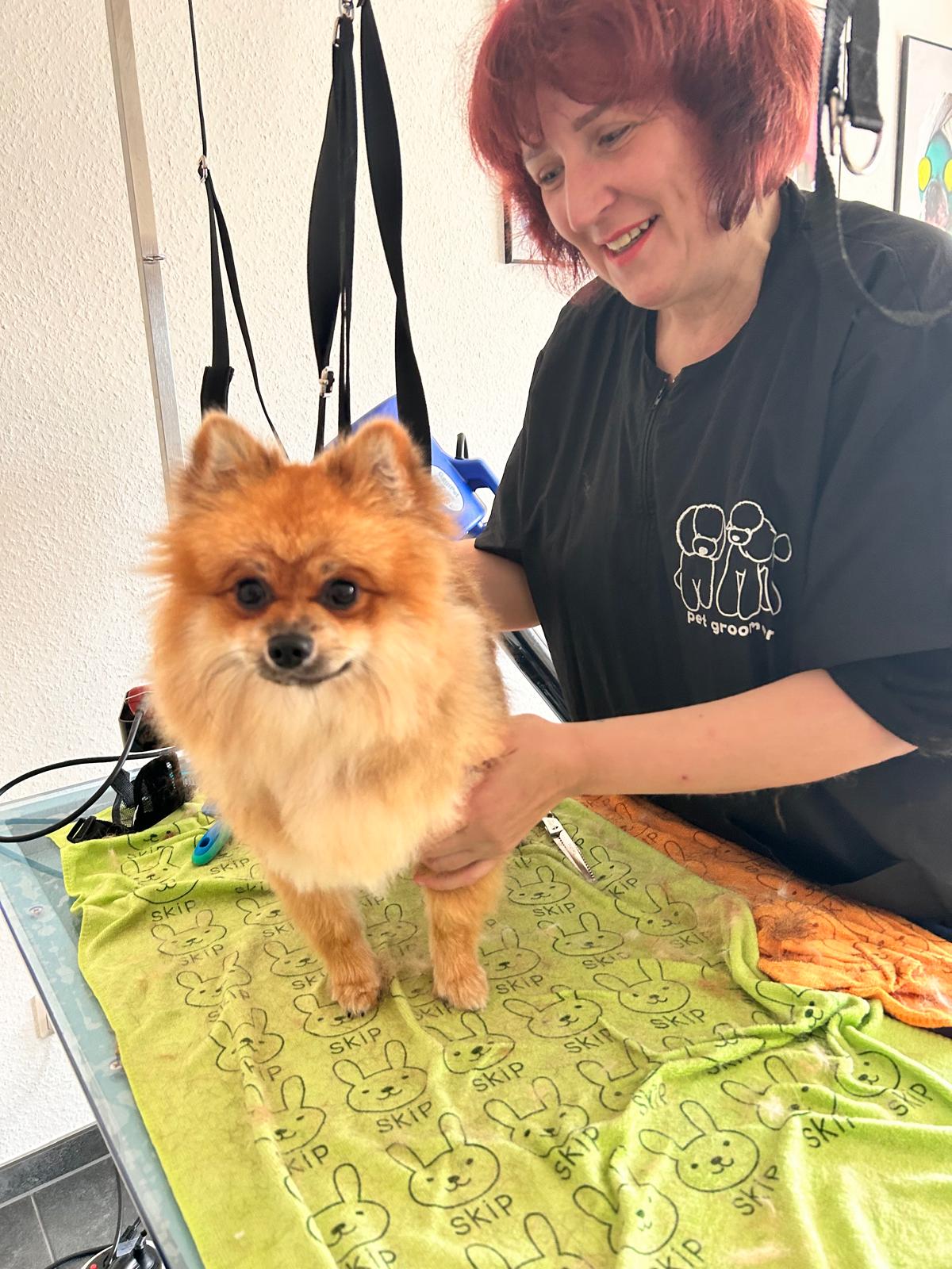 Naddis Tieroase – Über mich